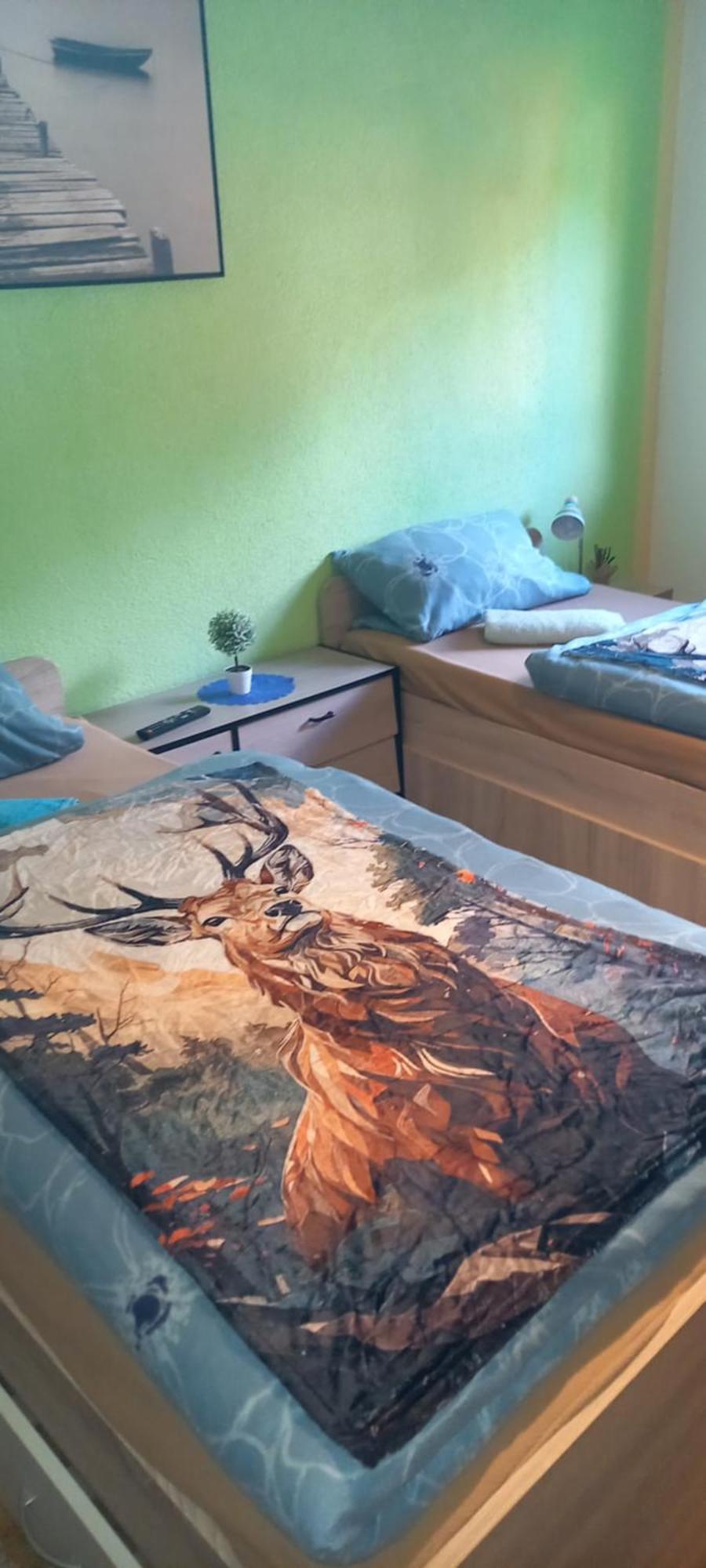 Monteur- Und Ferienwohnung Waldrauschen Fehrenbach Eksteriør billede