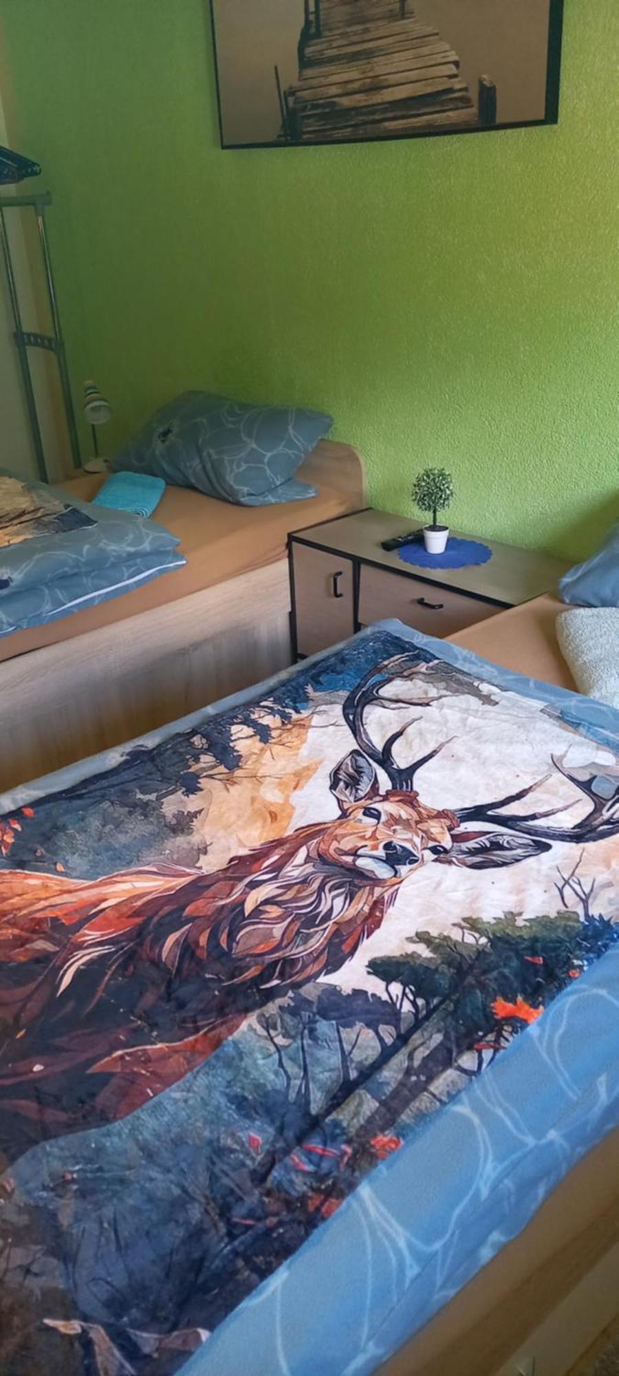 Monteur- Und Ferienwohnung Waldrauschen Fehrenbach Eksteriør billede